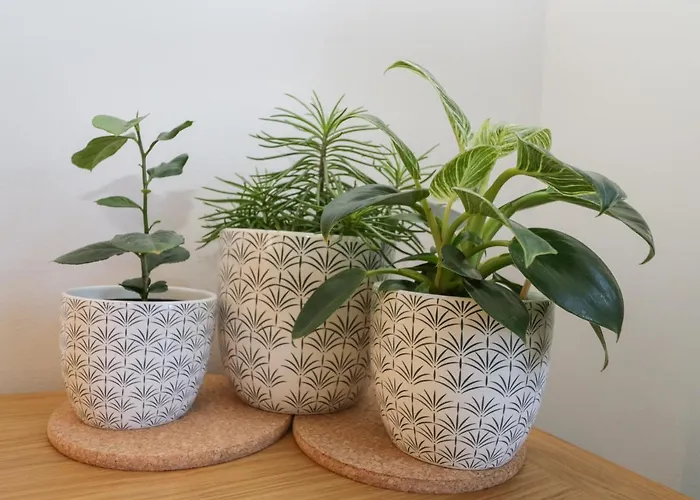 בית נופש Dabbling Ducks