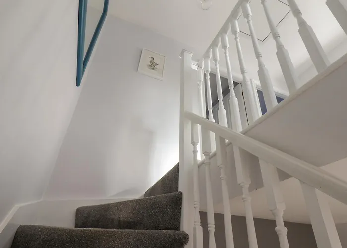 Dabbling Ducks * וויטבי