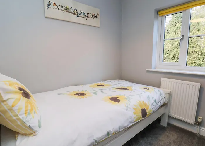 Dabbling Ducks * וויטבי