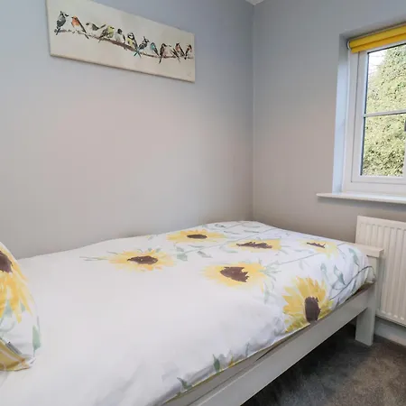 Dabbling Ducks * Whitby