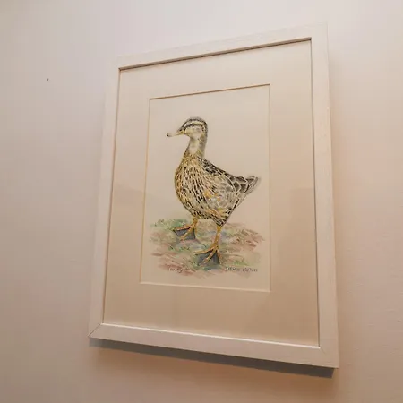 Holiday home Dabbling Ducks *