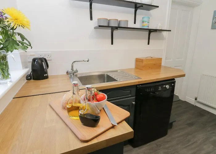 Dabbling Ducks Nyaraló *