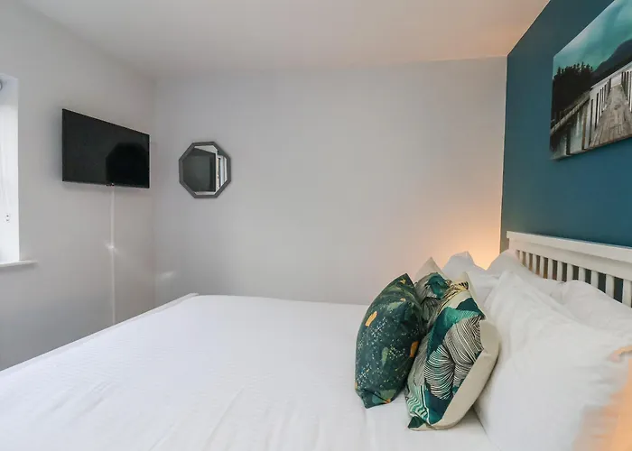 Nyaraló Dabbling Ducks *