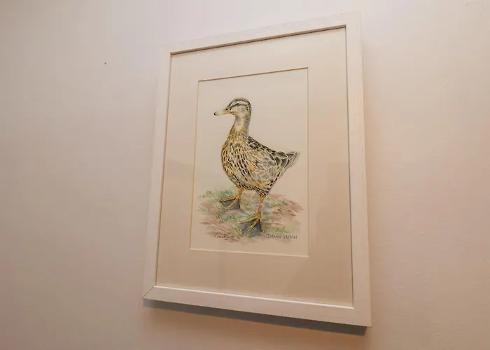 Nyaraló Dabbling Ducks *