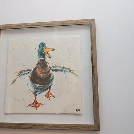 Dabbling Ducks